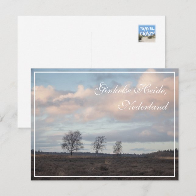 Ginkel Heath, Ede, Nederländerna Landskap Vykort (Fram/baksida)