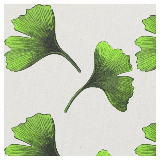 Ginkgo Biloba Löv Botanical Art Mönster Tyg (Närbild)