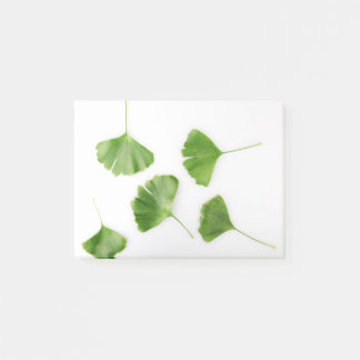 Ginkgo Biloba Löv mot vit bakgrund Post-it Block