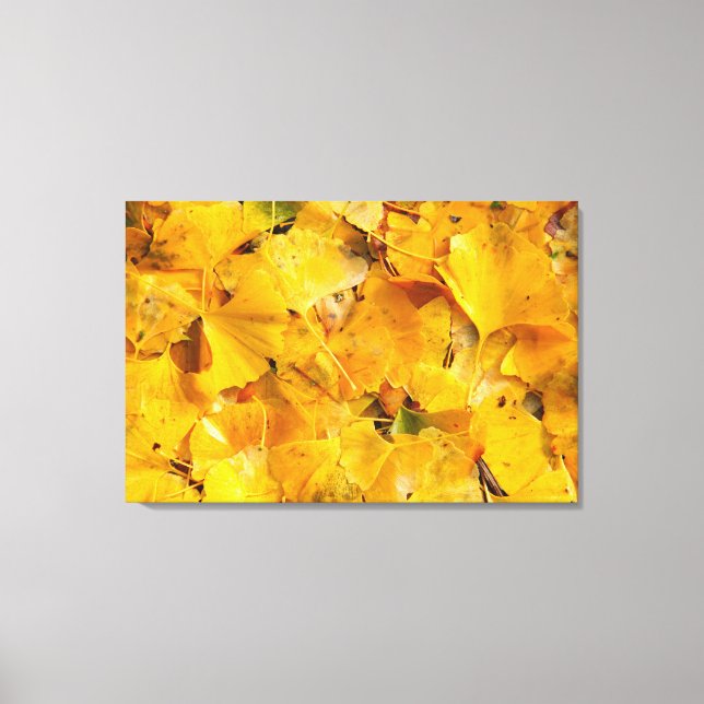 Ginkgo Biloba lövs Canvastryck (Framsida)