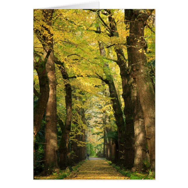 Ginkgo Biloba träd Hälsningskort (Framsidan)