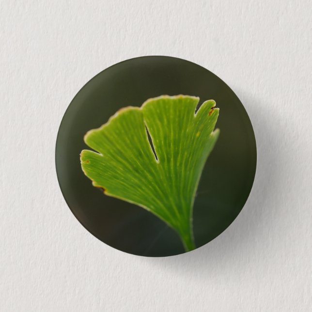 Ginkgo Löv Badge Knapp (Framsida)