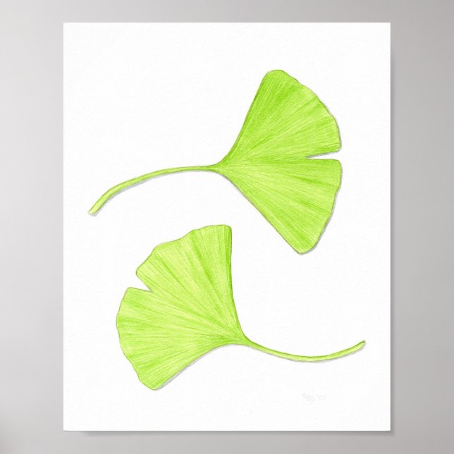 Ginkgo Löv Fine Art Print Poster (Framsidan)