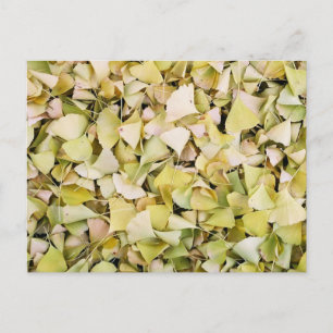 Ginkgo löv: Japan Vykort