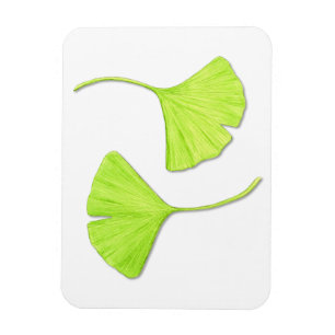Ginkgo Lövs Flexi Magnet
