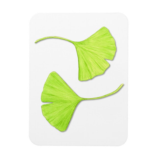 Ginkgo Lövs Flexi Magnet (Vertikal)