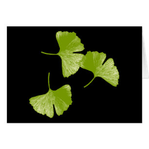 Ginkgo Lövs Hälsningskort