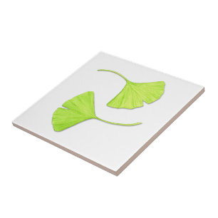 Ginkgo Lövs Nature Art Tile Kakelplatta