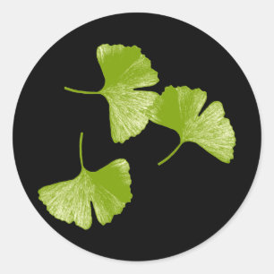 Ginkgo Lövs Runt Klistermärke
