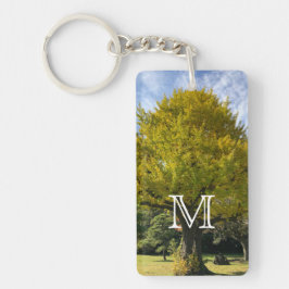 Ginkgo Träd av Golden Gult