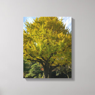 Ginkgo Träd av Golden Gult Canvastryck