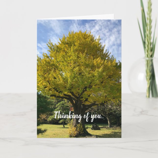 Ginkgo Träd av Golden Gult Kort (Framsida)