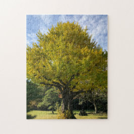 Ginkgo Träd av Golden Gult Pussel