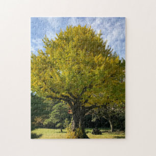 Ginkgo Träd av Golden Gult Pussel
