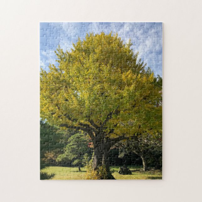 Ginkgo Träd av Golden Gult Pussel (Vertikal)