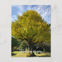 Ginkgo Träd av Golden Gult Vykort