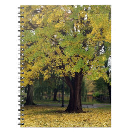 Ginkgo Träd i Fall Anteckningsbok