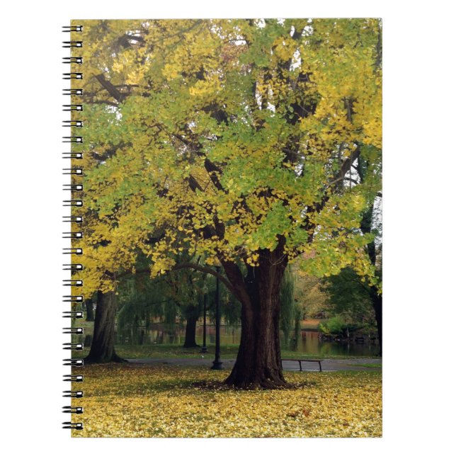 Ginkgo Träd i Fall Anteckningsbok (Framsidan)