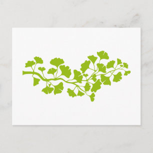 ginkgo träd silhouette med grönt löv vykort