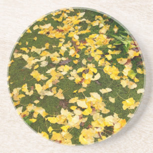Ginkgobilobalöv Underlägg Sandsten