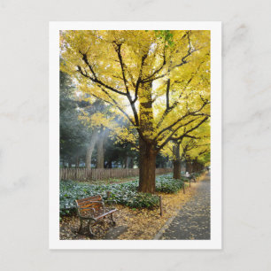 Ginkgoträd: Meiji Jingu Gaien, Tokyo Vykort