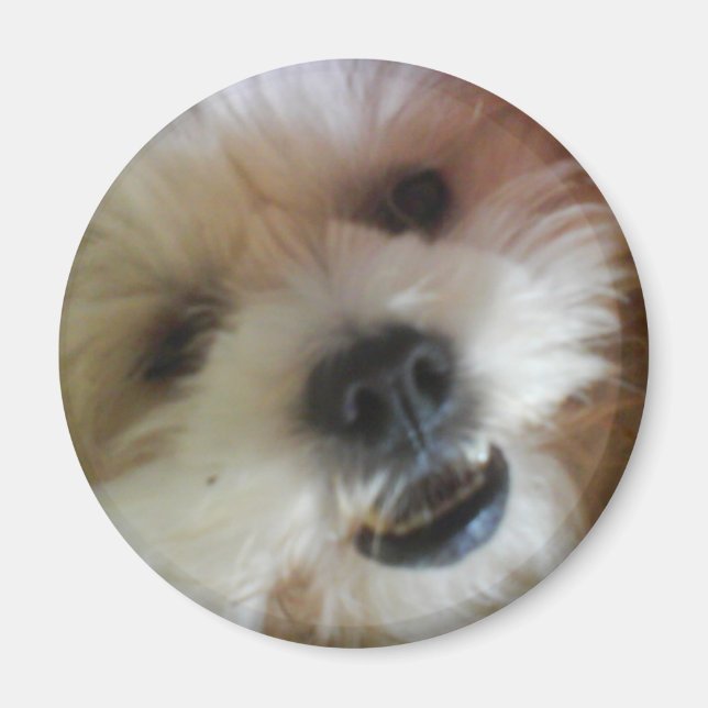 Ginny Pop Magnet (Framsidan)