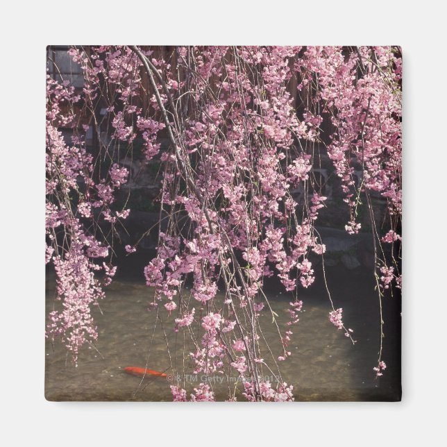 Gion, Kyoto-prefekturen, Japan Magnet (Framsidan)