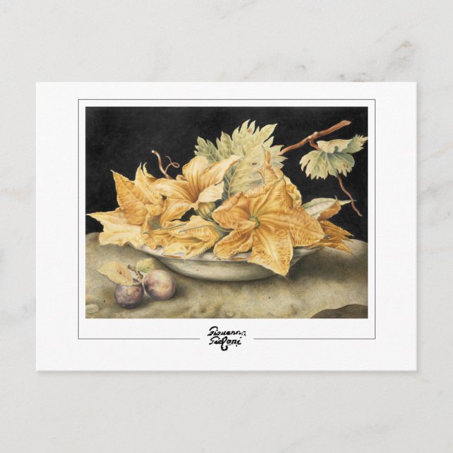 Giovanna Garzoni #1 - vykort för konst (Framsida)