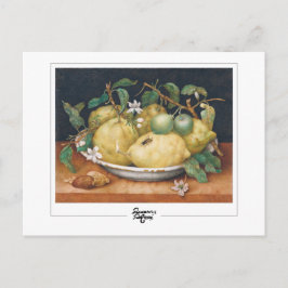 Giovanna Garzoni #4 - vykort för konst