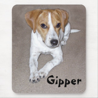 Gipper klotter musmatta