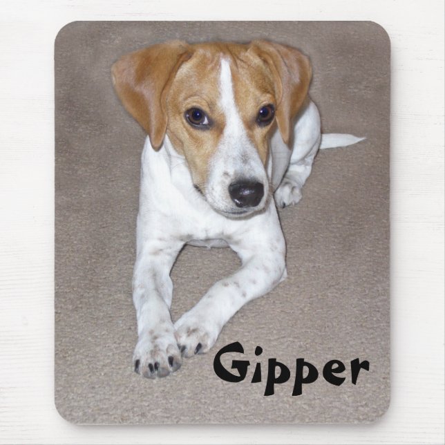 Gipper klotter musmatta (Framsidan)