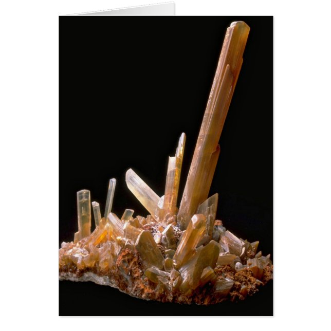 Gips Hälsningskort (Framsidan)