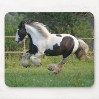 Gipsyhästmousepad Musmatta