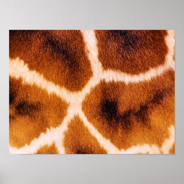 GIRAFER POSTER (Framsidan)