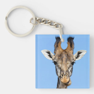 Giraff