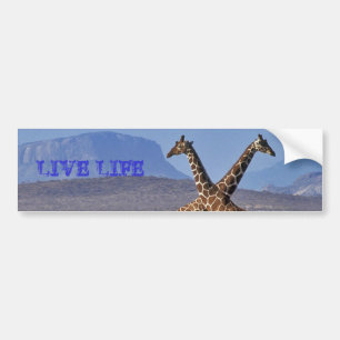 giraff [1], LEVANDE LIV Bildekal