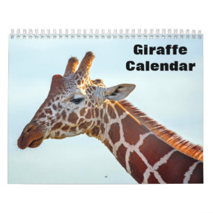 Giraff 2027 kalender