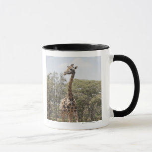Giraff 5 mugg
