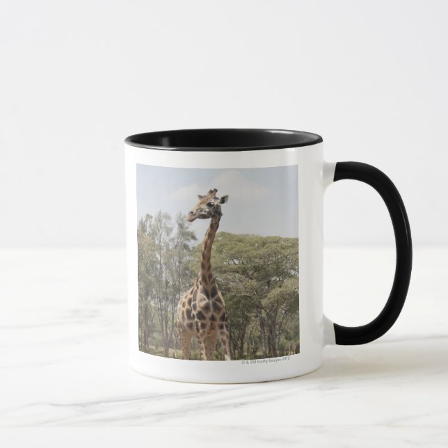 Giraff 5 mugg (Höger)