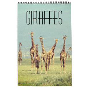 giraff afrikansk safari kalender
