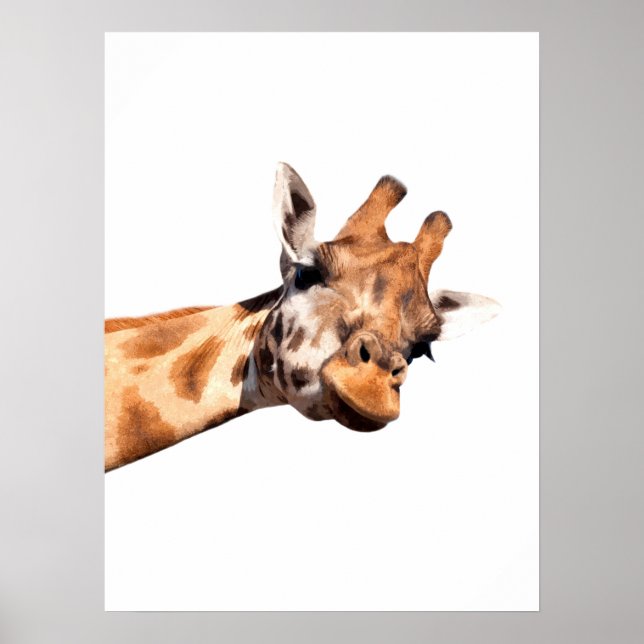 Giraff afrikanskt djurporträtt poster (Framsidan)