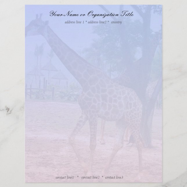 giraff brevhuvud (Framsida)