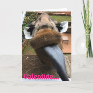 Giraff för valentintungakyss helgkort