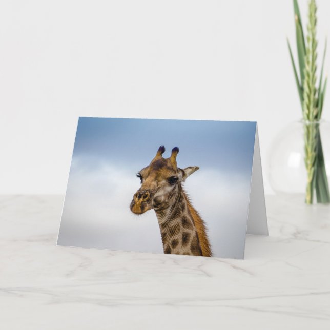 Giraff från Sydafrika Kort (Framsida)