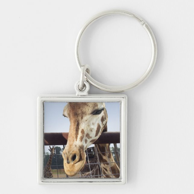 Giraff Fyrkantig Silverfärgad Nyckelring (Framsidan)