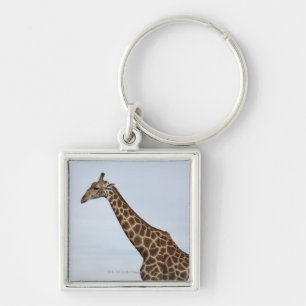 Giraff (Giraffacamelopardalis), Chobe medborgare P Fyrkantig Silverfärgad Nyckelring