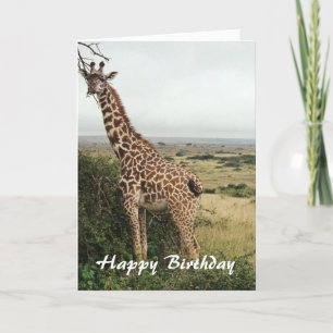Giraff glad födelsedagskort kort