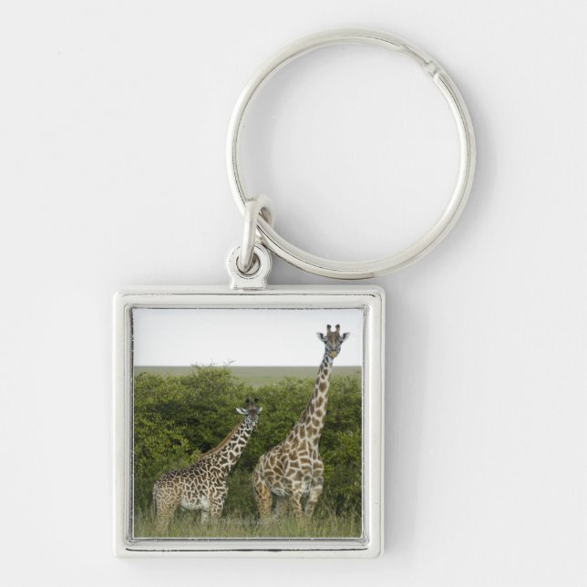 Giraff i Kenya, afrika 2 Fyrkantig Silverfärgad Nyckelring (Framsidan)