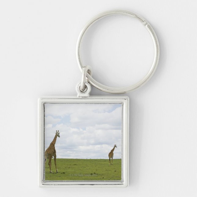 Giraff i Kenya, afrika Fyrkantig Silverfärgad Nyckelring (Framsidan)