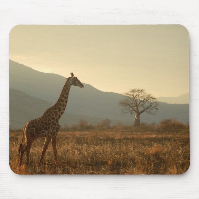 Giraff i savannahen musmatta (Framsidan)